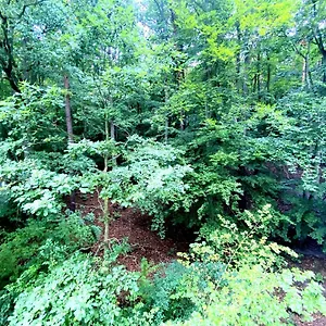 https://forest-23-marca-sopot.sopothotels.com